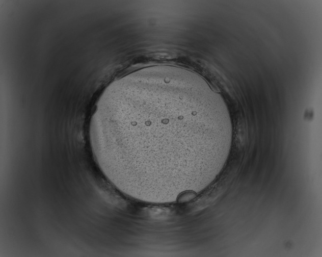 X0000101190512200807181514