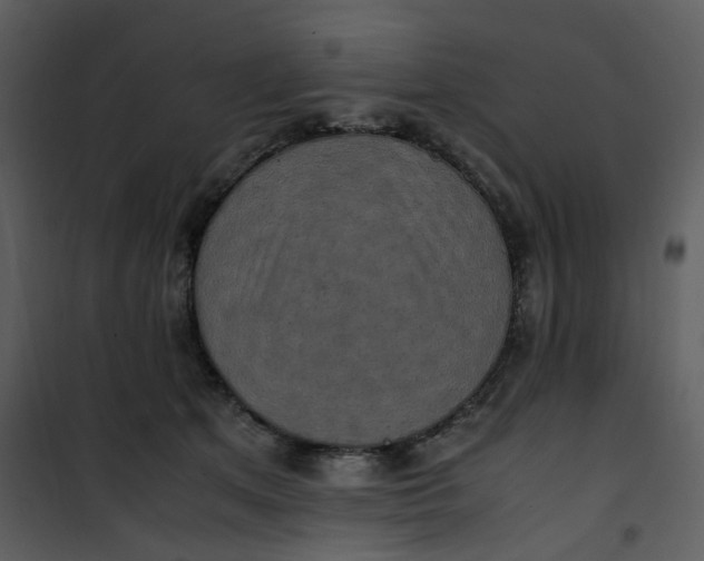 X0000101190513200807181514