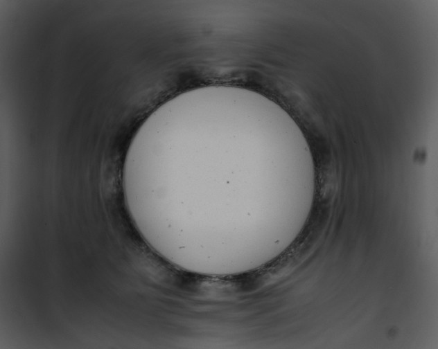 X0000101190515200807181514