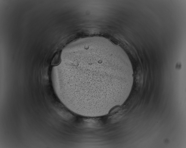 X0000101190516200807181514