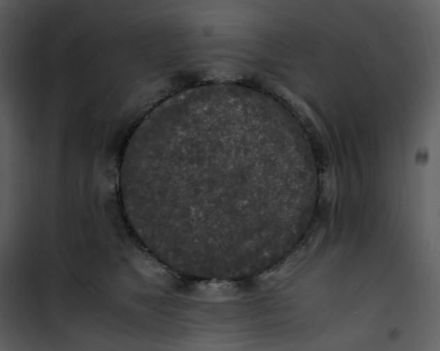 X0000101190517200807181514
