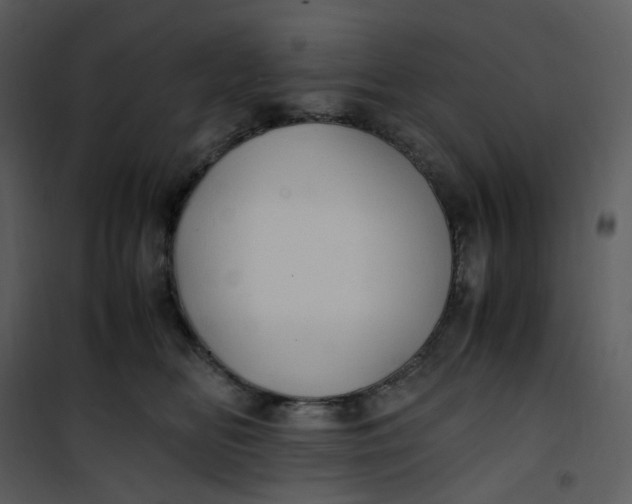 X0000101190518200807181514