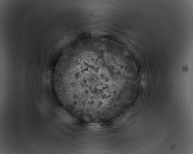 X0000101190519200807181514