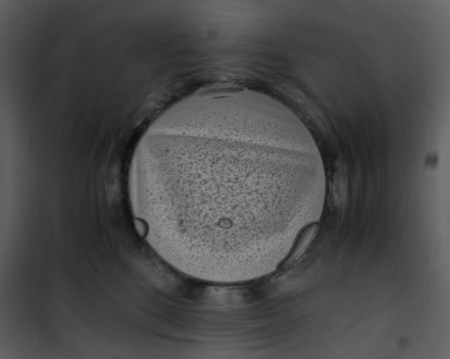 X0000101190520200807181514