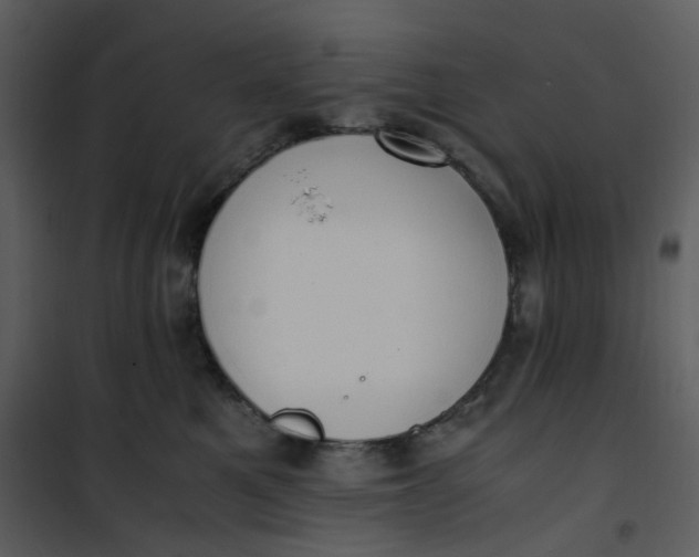X0000101190521200807181514
