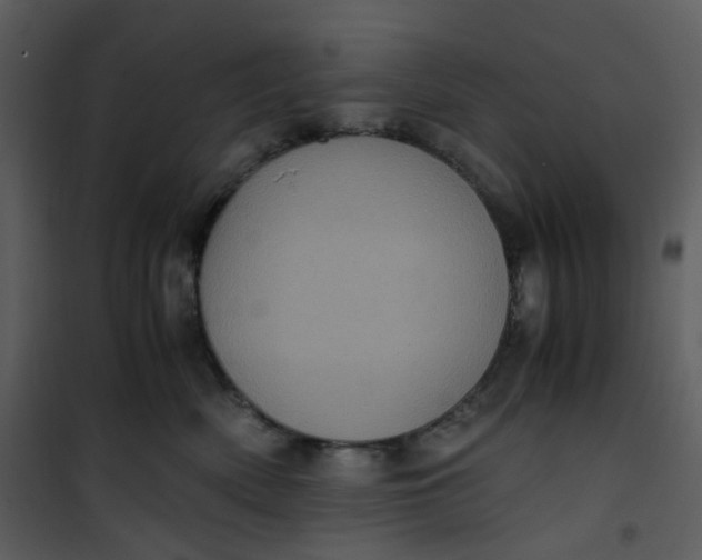 X0000101190522200807181514