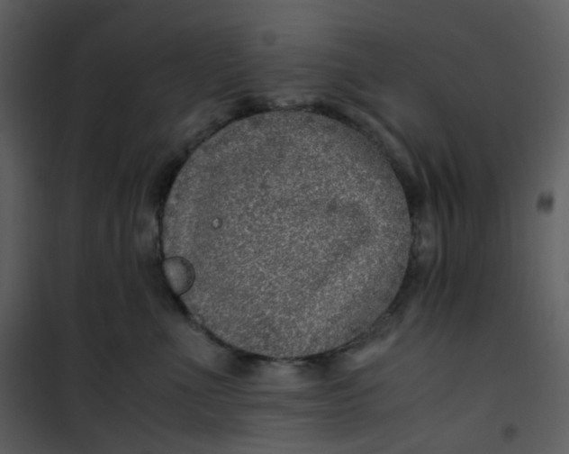 X0000101190523200807181514