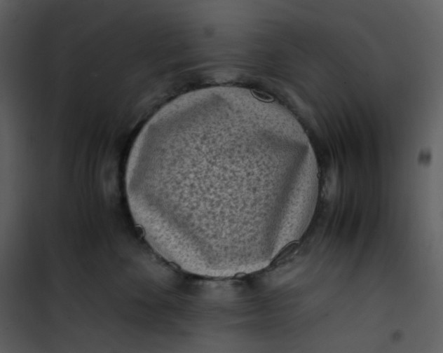 X0000101190524200807181514