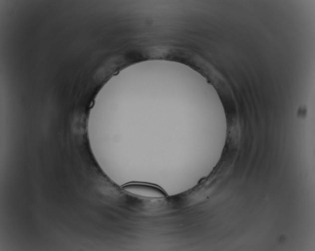 X0000101190525200807181514