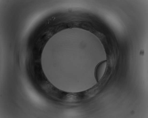 X0000101190526200807181514