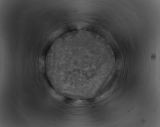 X0000101190527200807181514