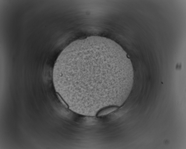 X0000101190528200807181514