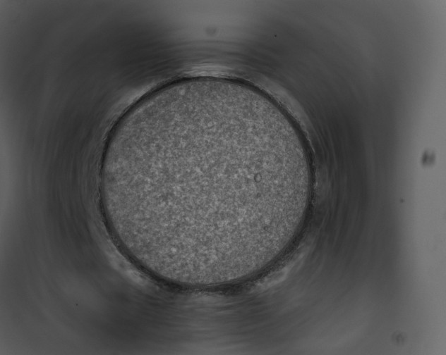 X0000101190529200807181513