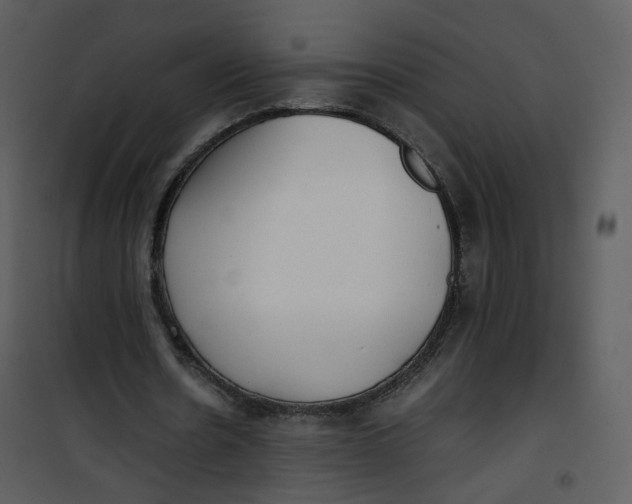X0000101190530200807181513