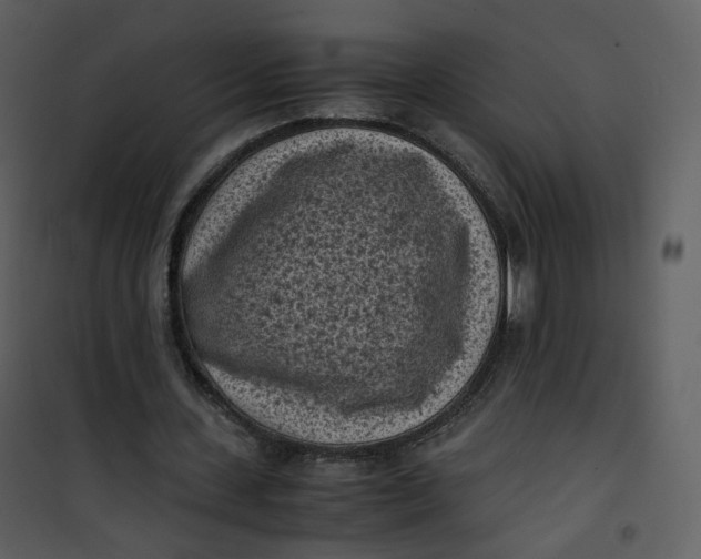 X0000101190531200807181513