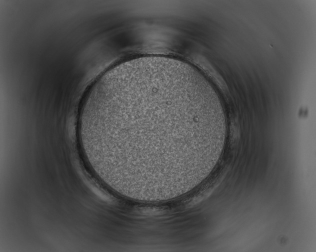 X0000101190533200807181513