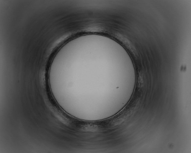 X0000101190535200807181513