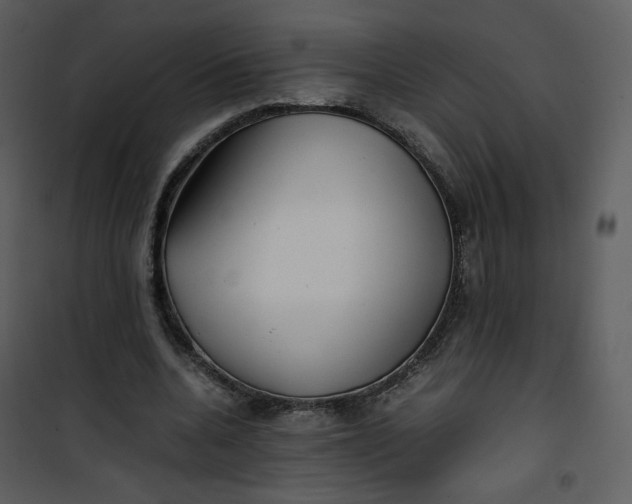 X0000101190536200807181513