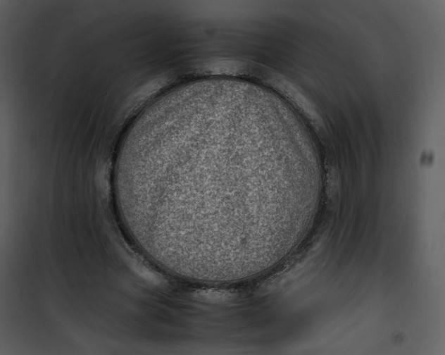 X0000101190537200807181513