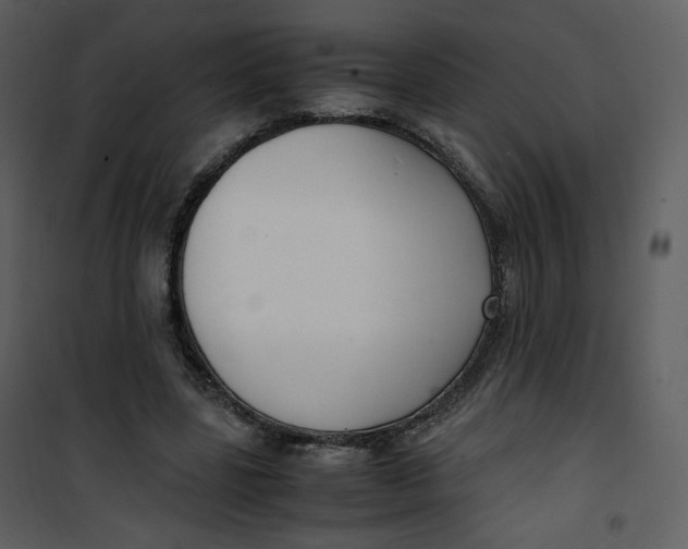 X0000101190539200807181513
