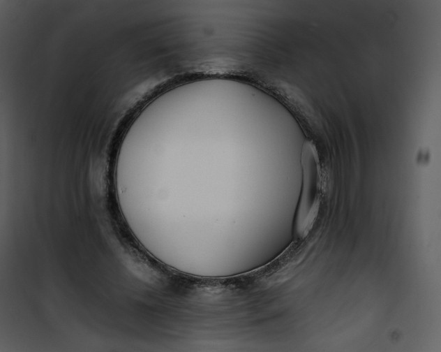 X0000101190540200807181513