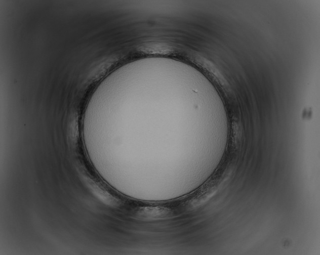 X0000101190541200807181513