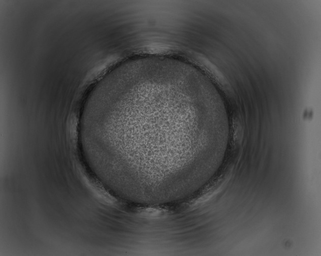 X0000101190542200807181513