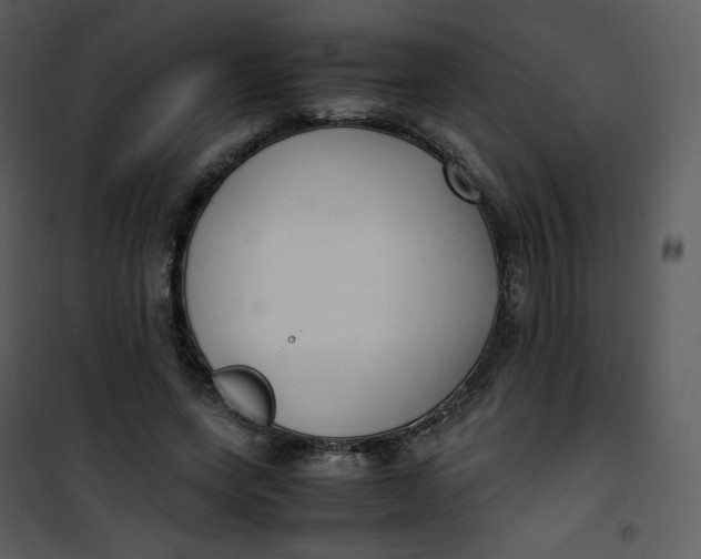 X0000101190543200807181513