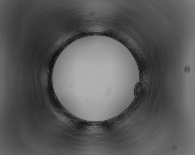 X0000101190544200807181513