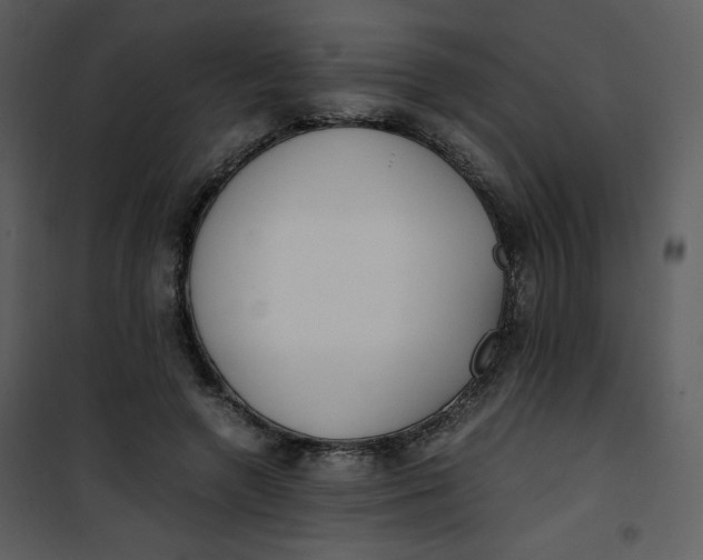X0000101190546200807181513