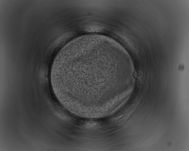 X0000101190547200807181514