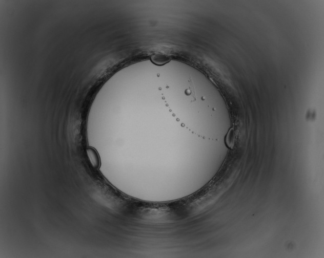 X0000101190548200807181514