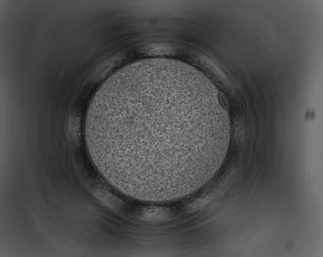 X0000101190549200807181514