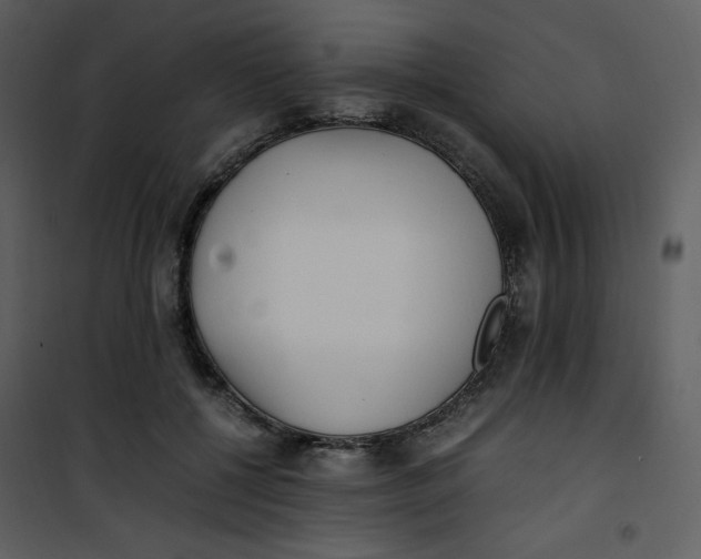 X0000101190552200807181514