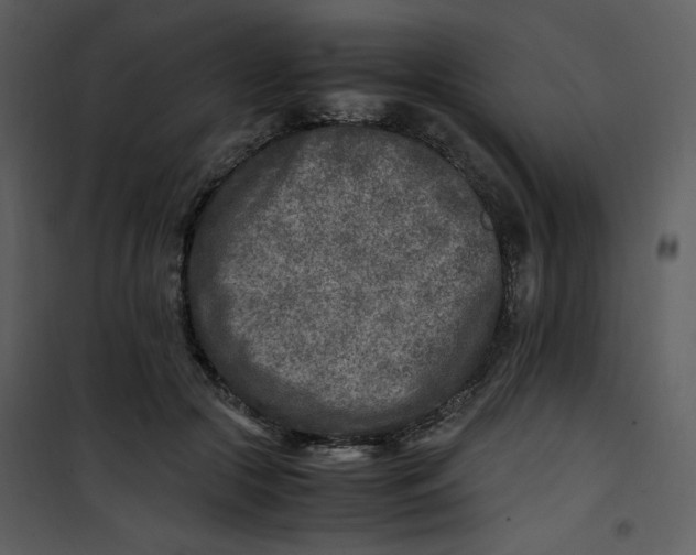 X0000101190553200807181514