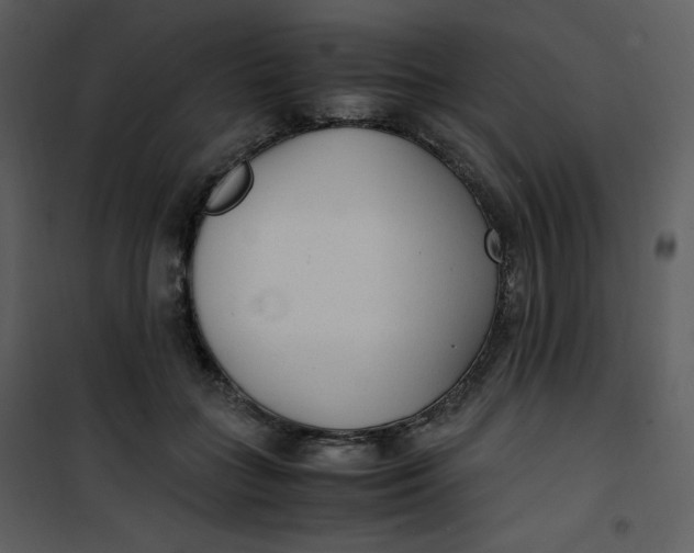 X0000101190555200807181514