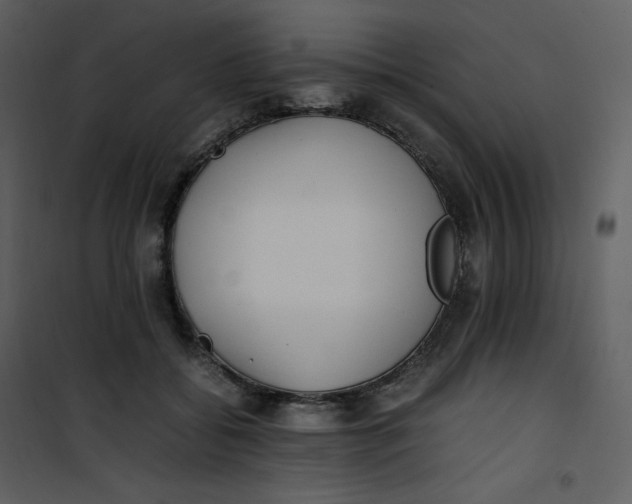X0000101190556200807181514