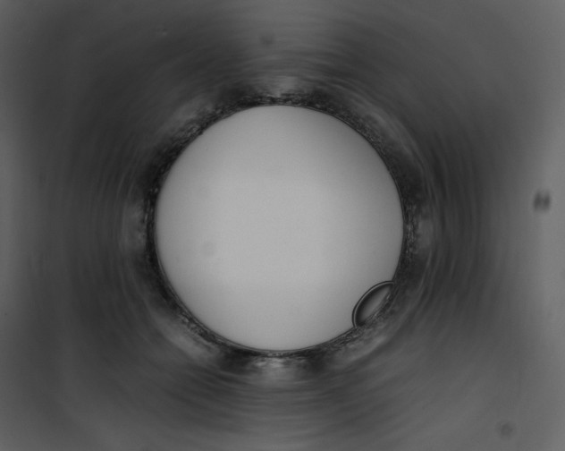 X0000101190558200807181514