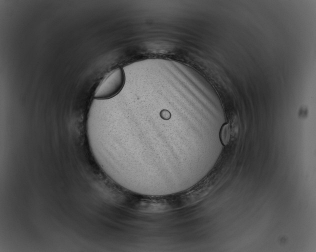 X0000101190559200807181514