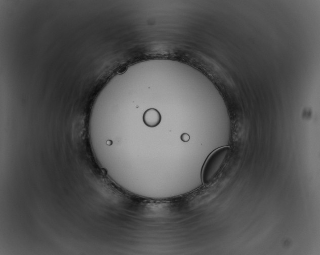 X0000101190560200807181514