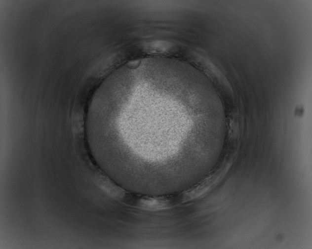 X0000101190561200807181514