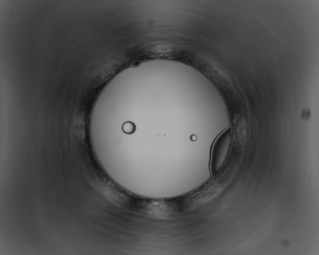 X0000101190562200807181514