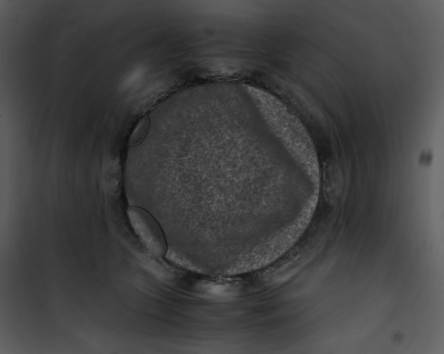 X0000101190563200807181514