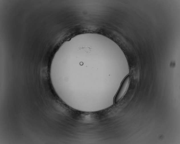 X0000101190564200807181514