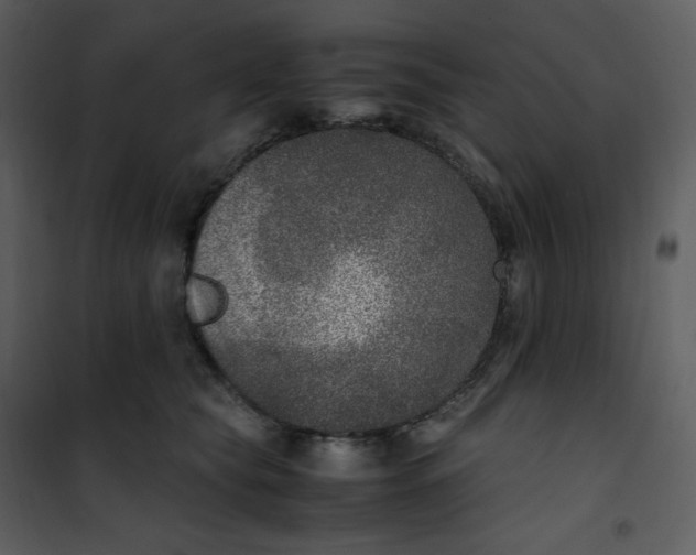 X0000101190565200807181514