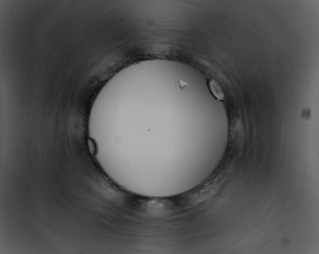 X0000101190566200807181514