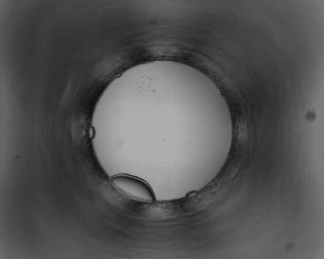 X0000101190567200807181514