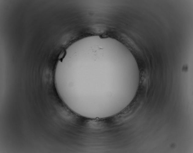 X0000101190568200807181514