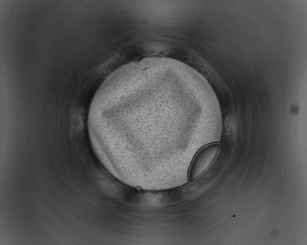 X0000101190570200807181514