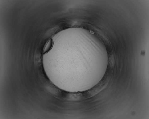 X0000101190571200807181514